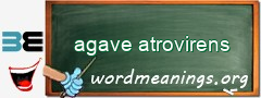 WordMeaning blackboard for agave atrovirens